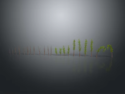 Progressive Growth Stages of Green Plants Showing Increasing Height and Foliage on Gray Background 3d model