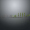 Progressive Growth Stages of Green Plants Showing Increasing Height and Foliage on Gray Background