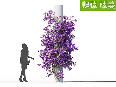 Modern Vine 3d model