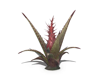 Vine Plant With Red Spiky Top And Green Leafy Tropical Foliage 3d model