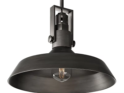Industrial Style Black Metal Pendant Light with Dome Shade and Exposed Filament Bulb 3d model