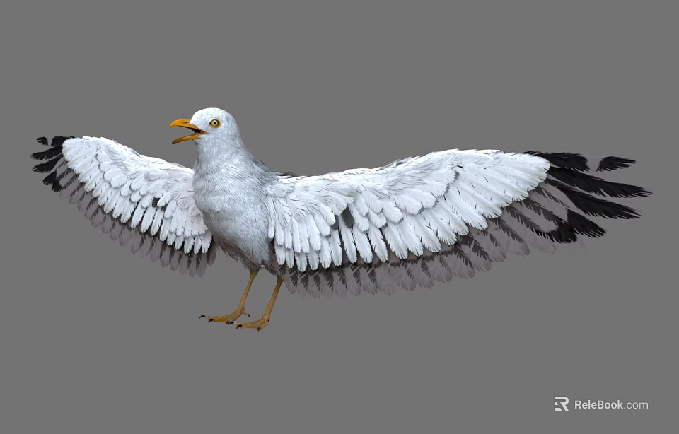 White Seagull Spreading Wings With Black Wing Tips And Yellow Beak Legs 3d model 
