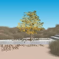 Yellow Leaved Tree as Garden Ornament with Grassland and Steps in Outdoor Area