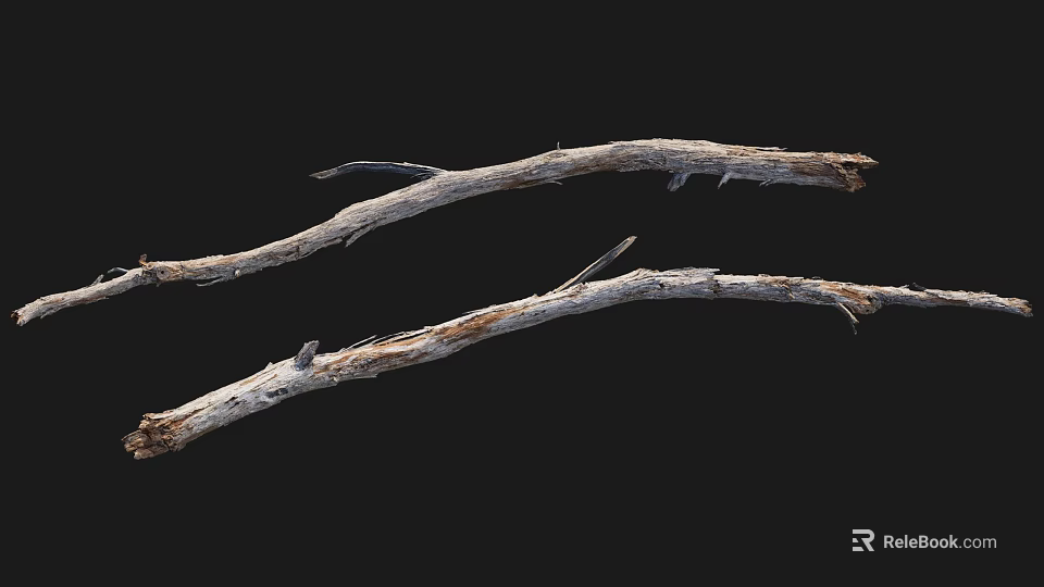 Two Natural Dry Wood Branches With Organic Texture On Black Background 3d model 
