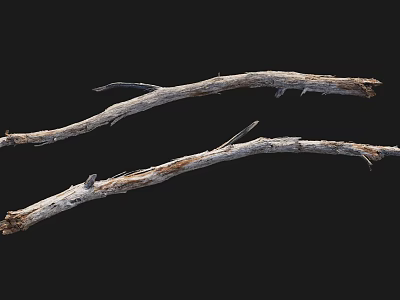 Two Natural Dry Wood Branches With Organic Texture On Black Background 3d model