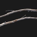 Dead trunk realistic branch by sketch props match game elements 3d model