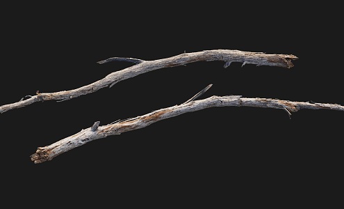 Dead trunk realistic branch by sketch props match game elements 3d model