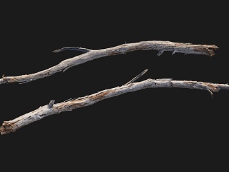 Dead trunk realistic branch by sketch props match game elements 3d model