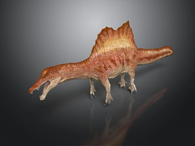 Red Brown Dinosaur Model With Spiked Sail And Detailed Texture On Dark Background 3d model