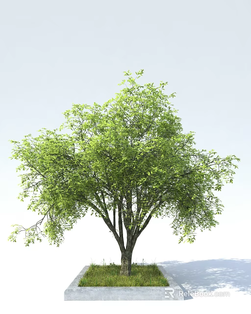 Lush Green Arbor With Dense Foliage And Strong Trunk In Natural Scene 3d model 