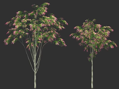 Two Decorative Trees With Pink And Green Leaves For Landscape Design 3d model