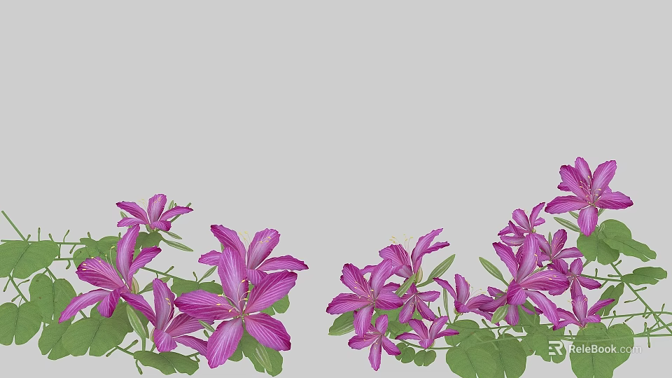 Vibrant Purple Flowers With Green Leaves Blooming In Natural Garden 3d model 