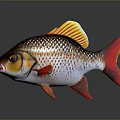 Shiny Scaled Red Fish Decorative Household Ornament With Orange Tail And Reflective Finish