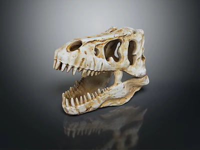Detailed View Of Dinosaur Skull With Organ Structures And Hair Remnants 3d model