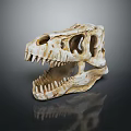 Detailed View Of Dinosaur Skull With Organ Structures And Hair Remnants