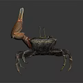 Spotted Crab With Large Red Claw And Black Body Standing On Dark Surface
