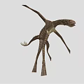 Realistic 3D Model Of Pterosaur With Long Wings Slender Body And Long Tail Flying