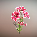 Pink Lilies With Blooming Flowers Buds Green Stems And Leaves On Soft Gradient Background