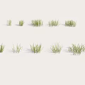 Natural Green Grass in Different Forms Arranged in Two Rows With White Background 3d model