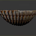Decorative Shell Shaped Bowl With Orange White Edges Wavy Texture For Home Decor