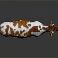 Brown And White Cow Standing On Black Floor With Reflection Against Gray Background