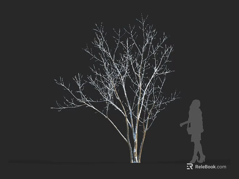 Leafless Tree With White Textured Trunk And Person Silhouette On Black Background 3d model