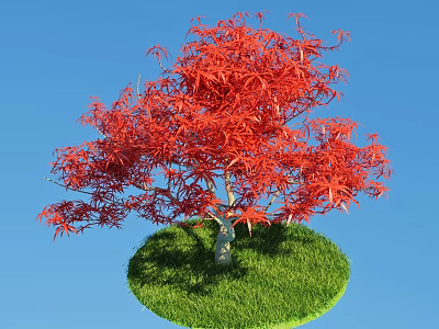Red Leaf Maple Tree Growing On Green Grass With Blue Sky Background 3d model
