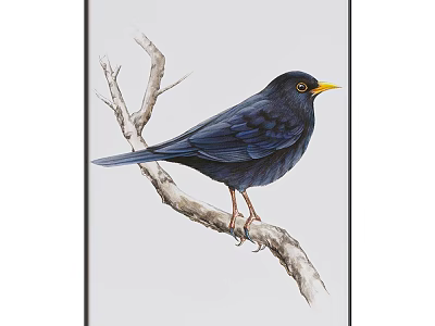 Animal Painting Featuring Detailed Blackbird With Yellow Beak Perched On Tree Branch 3d model