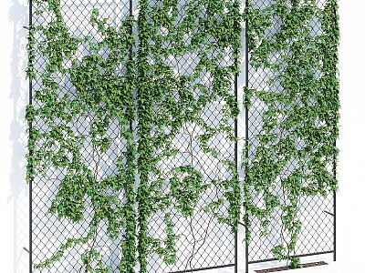 Modern Plant Wall Vine Plant Wall 3d model