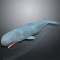 Detailed 3D Light Blue Whale Model With Open Mouth On Gray Background
