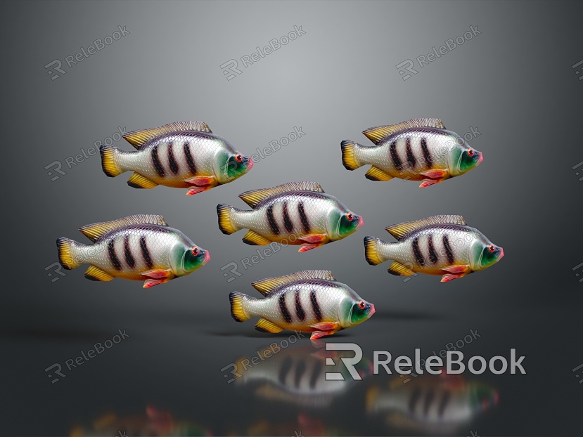 Fish Freshwater Fish Sea Fish Animal Game Animal Cartoon Animal Realistic Animal model