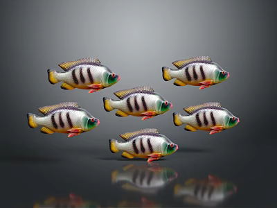 Group of Aquatic Fish With Black White Stripes Green Accents And Reflections On Gray Background 3d model