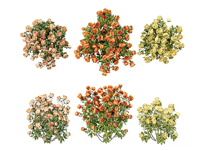 Colorful Decorative Flower Clusters With Green Foliage In Multiple Hues 3d model