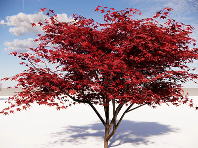 Red Leaf Arbor With Vibrant Red Foliage Against Blue Sky And White Clouds 3d model
