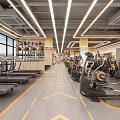 Modern Gym Interior With Various Fitness Equipment And Bright Lighting