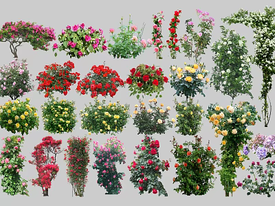 Colorful Blooming Flowering Plants With Various Roses Vines And Mixed Bushes 3d model