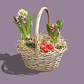 Wicker Basket With Hyacinth Flowers Red Berries And Straw For Home Decor