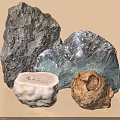 Natural Stone and Wood Pieces Displaying Raw Textures and Varied Shapes