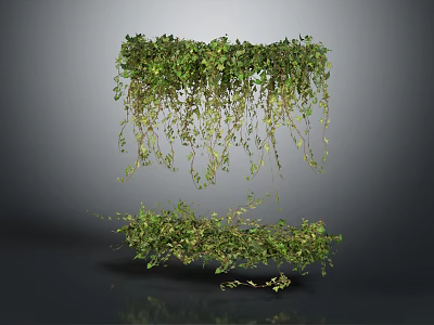 Lush Green Hanging Vines With Cascading Leaves And Natural Growth 3d model