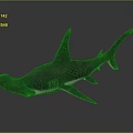Hammerhead Shark With Distinctive Hammer Shaped Head And Marine Habitat Features