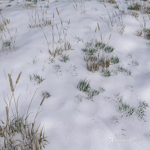 Garden Features Green Grass And Withered Stems Emerging From Snow Cover 3d model