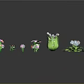 Colorful Decorative Plants With Various Flowers And Green Leaves In Different Pots