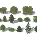 Various Green Shrubs in Different Sizes and Shapes for Landscaping 3d model