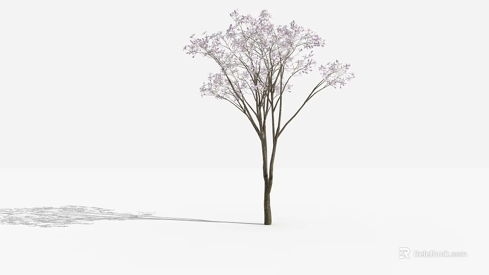 Tall Arbor Featuring Purple Flowers Slender Trunk And Shadow On White Background 3d model 