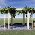 Wooden Pergola With Green Vines Hanging Fruits And Stone Pavement In Garden