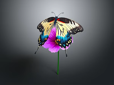 Colorful Butterfly With Yellow Black And Blue Wings Perched On Purple Flower 3d model