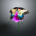 Colorful Butterfly With Yellow Black And Blue Wings Perched On Purple Flower