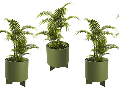 Modern Indoor Small Green Plant Potted Plant Sanwei Kwai Green Plant Potted Plant Creative Flower Pot Plant Potted Green Small Fresh Potted Plant model