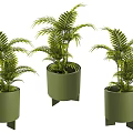 Three Green Bonsai Potted Plants With Lush Foliage And Sturdy Green Planter Stand