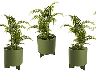 Modern Indoor Small Green Plant Potted Plant Sanwei Kwai Green Plant Potted Plant Creative Flower Pot Plant Potted Green Small Fresh Potted Plant 3d model